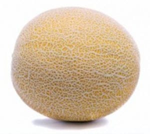 VDB Pro Seeds Melon Fruit